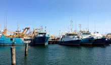 Fremantle
